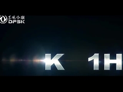 Certificado UE dfsk K01H LHD